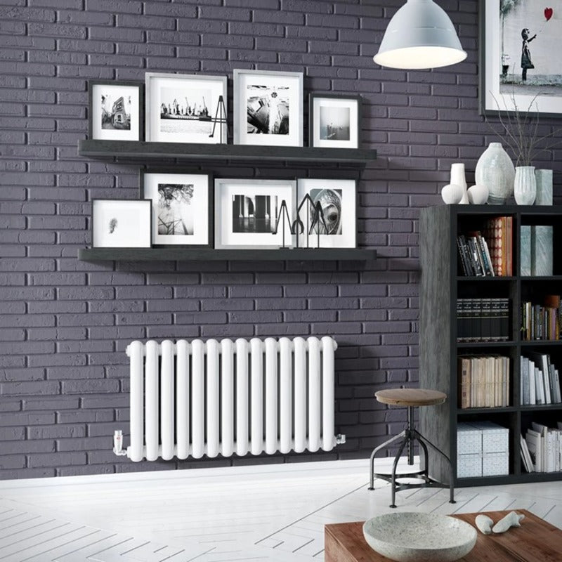 Cassius Horizontal Radiator
White