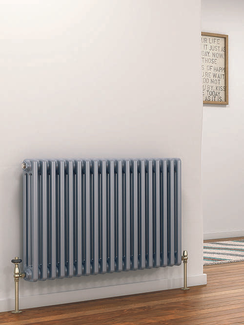 Peta 2 Column Radiator X 492mm Height